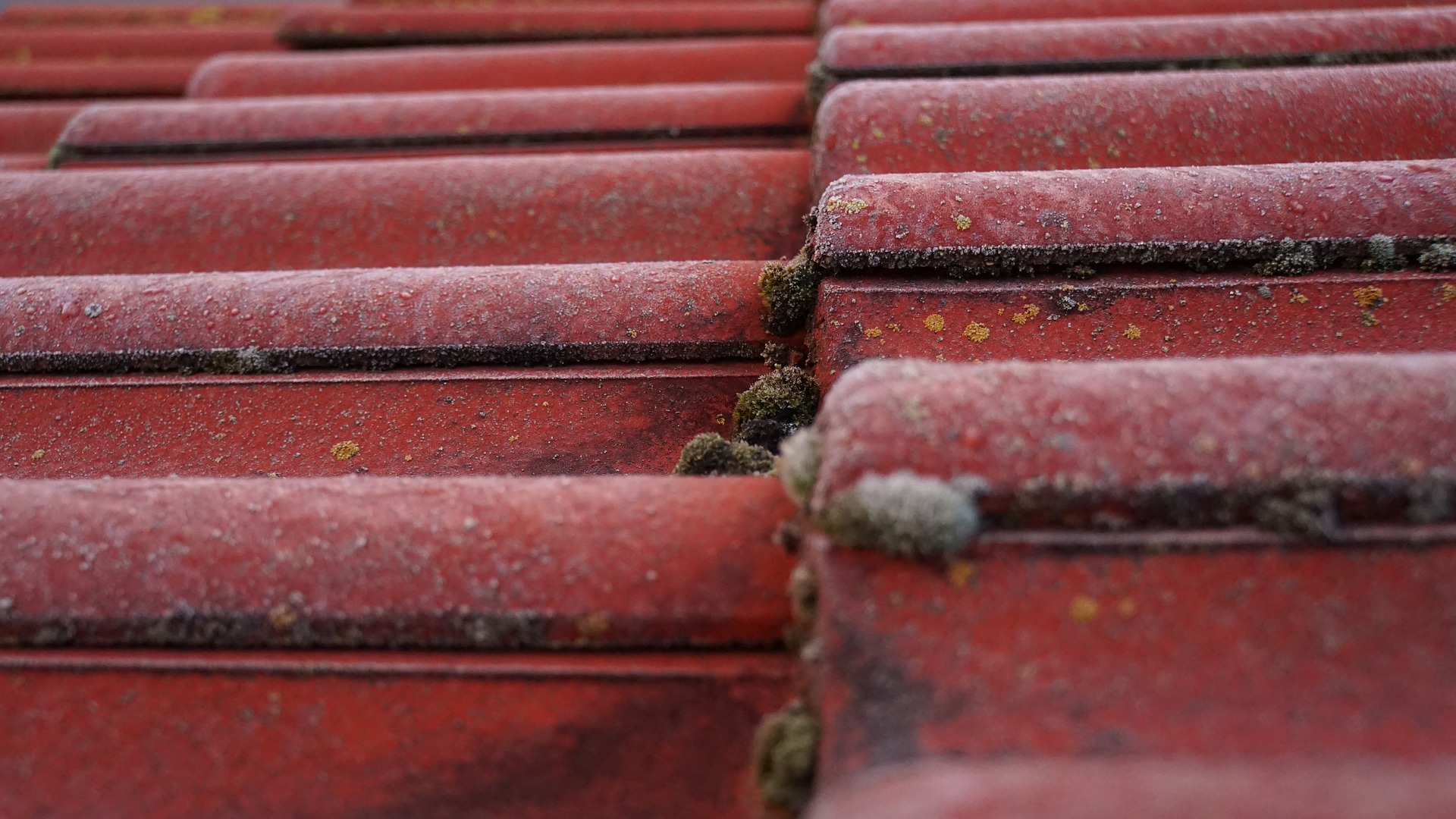 tile roof maintenance